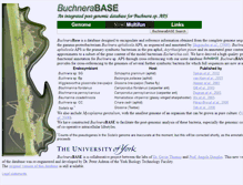 Tablet Screenshot of buchnera.org